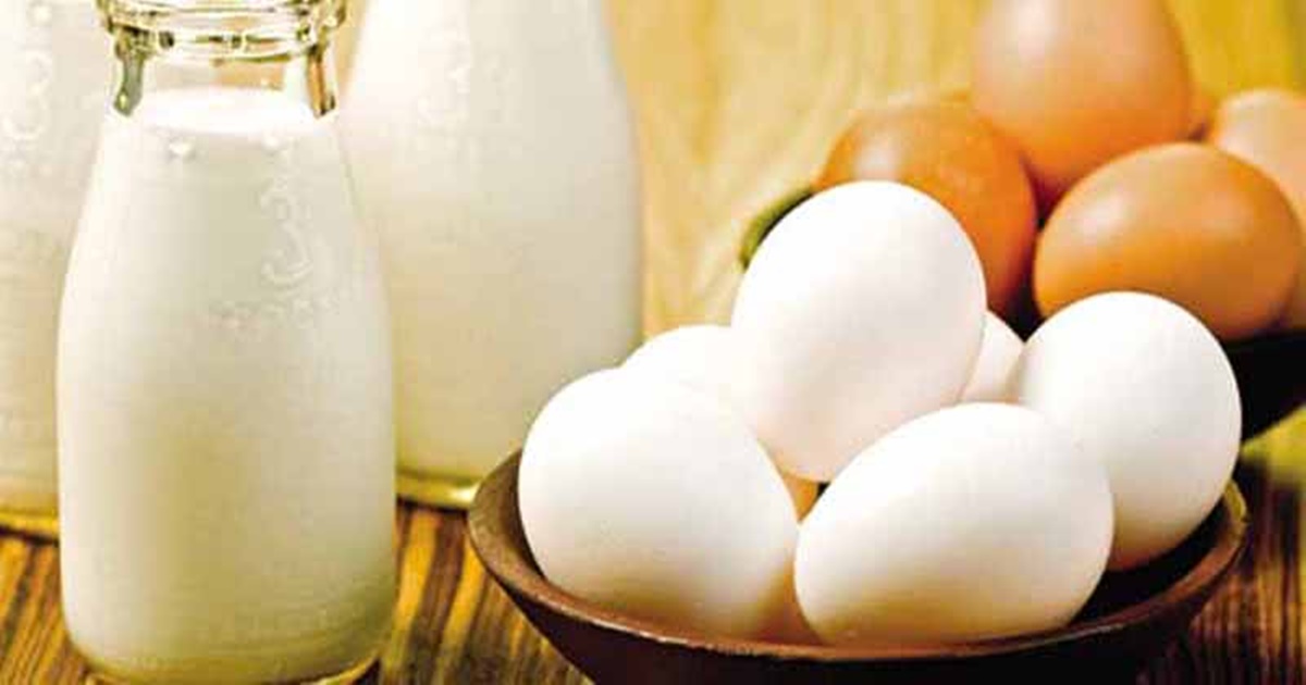 Leite e ovos cada vez mais caros para produzir e para consumir; entenda