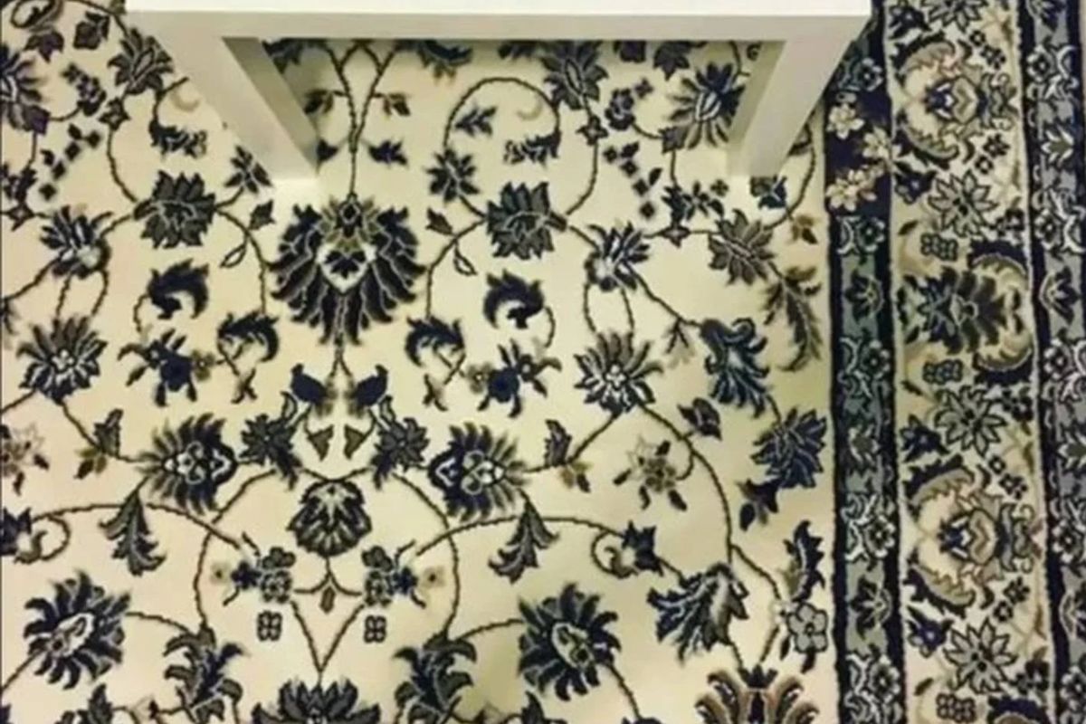 Desafio visual: Encontre o celular camuflado na imagem em até 30 segundos