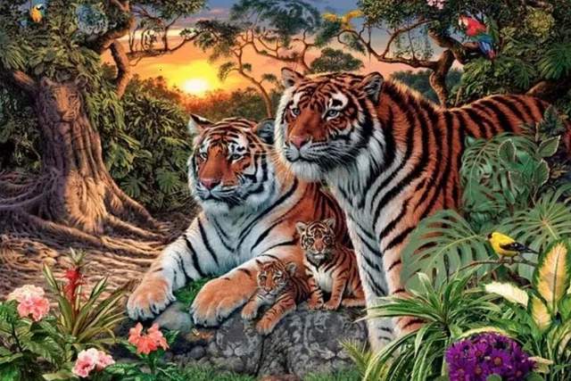 Quantos tigres você consegue ver?