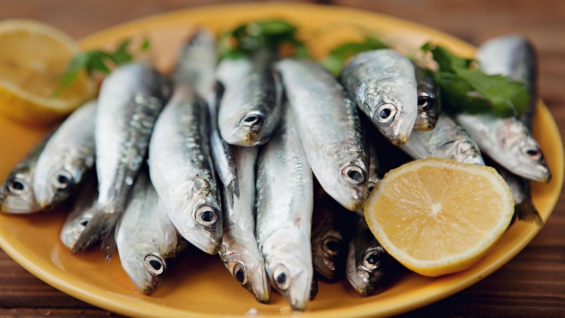 Benefícios da sardinha.