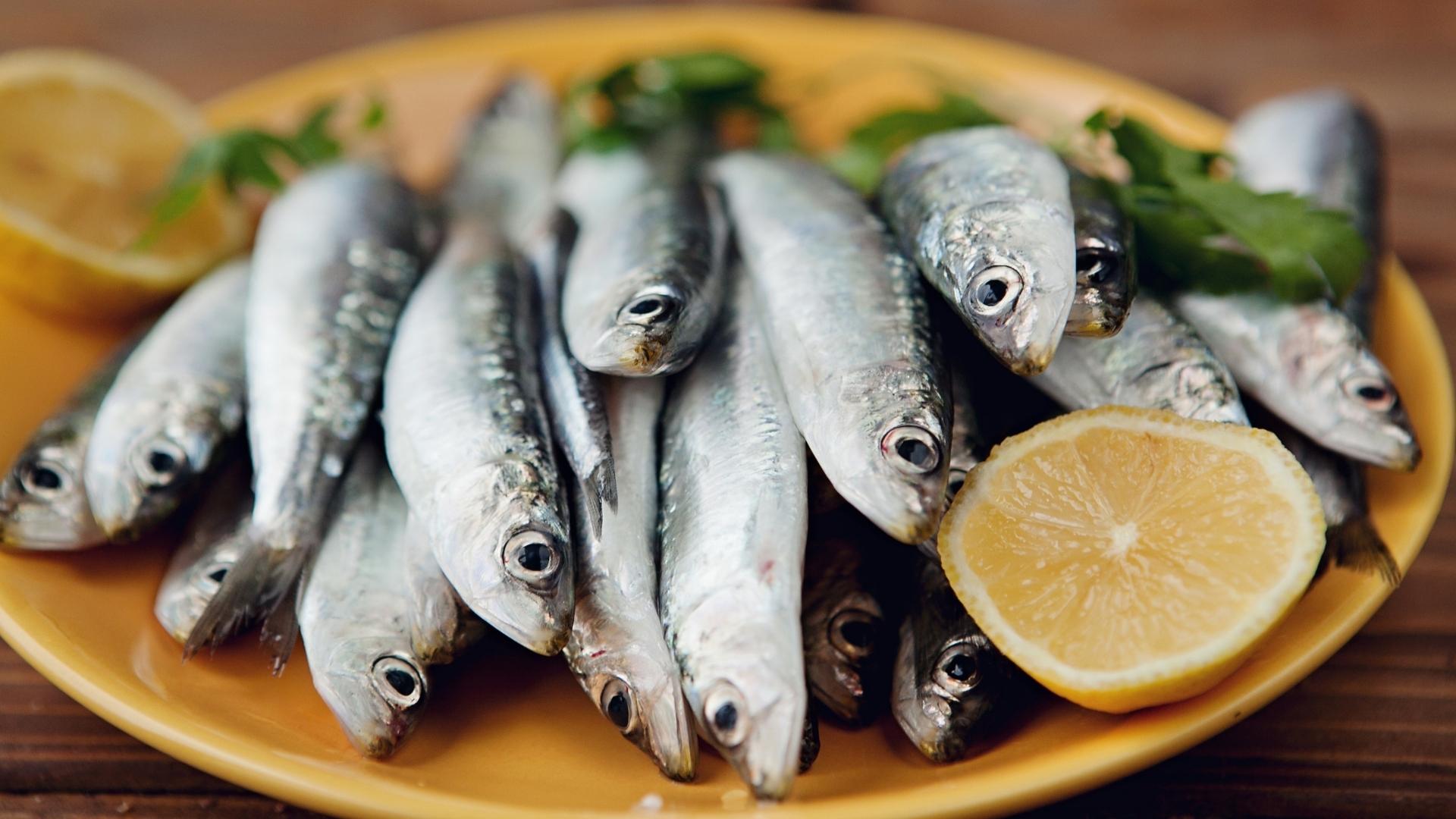 Barato e rico em ômega-3, ESTE é o peixe ideal para comer durante a Quaresma