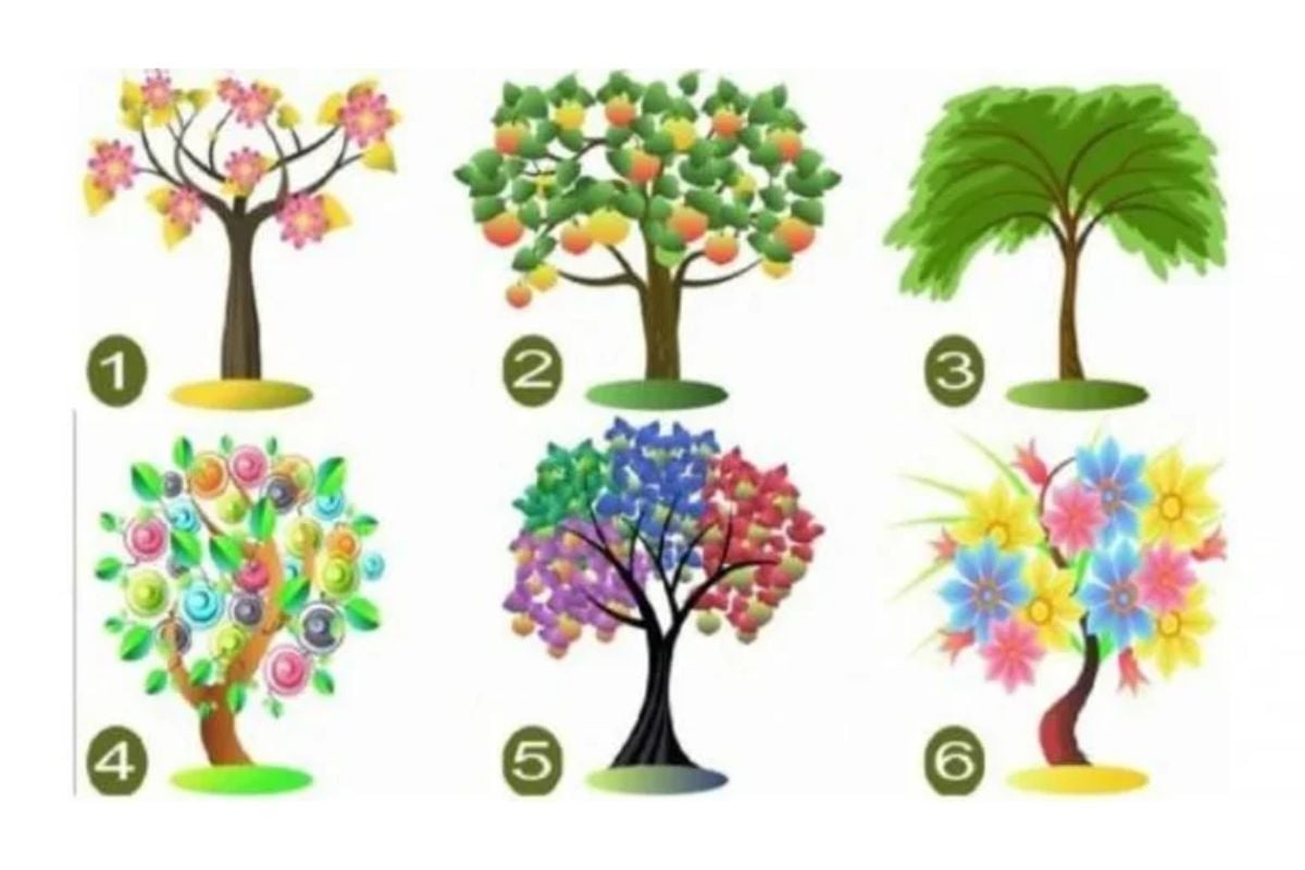 Teste de personalidade; Escolha uma árvore e saiba mais sobre si mesmo