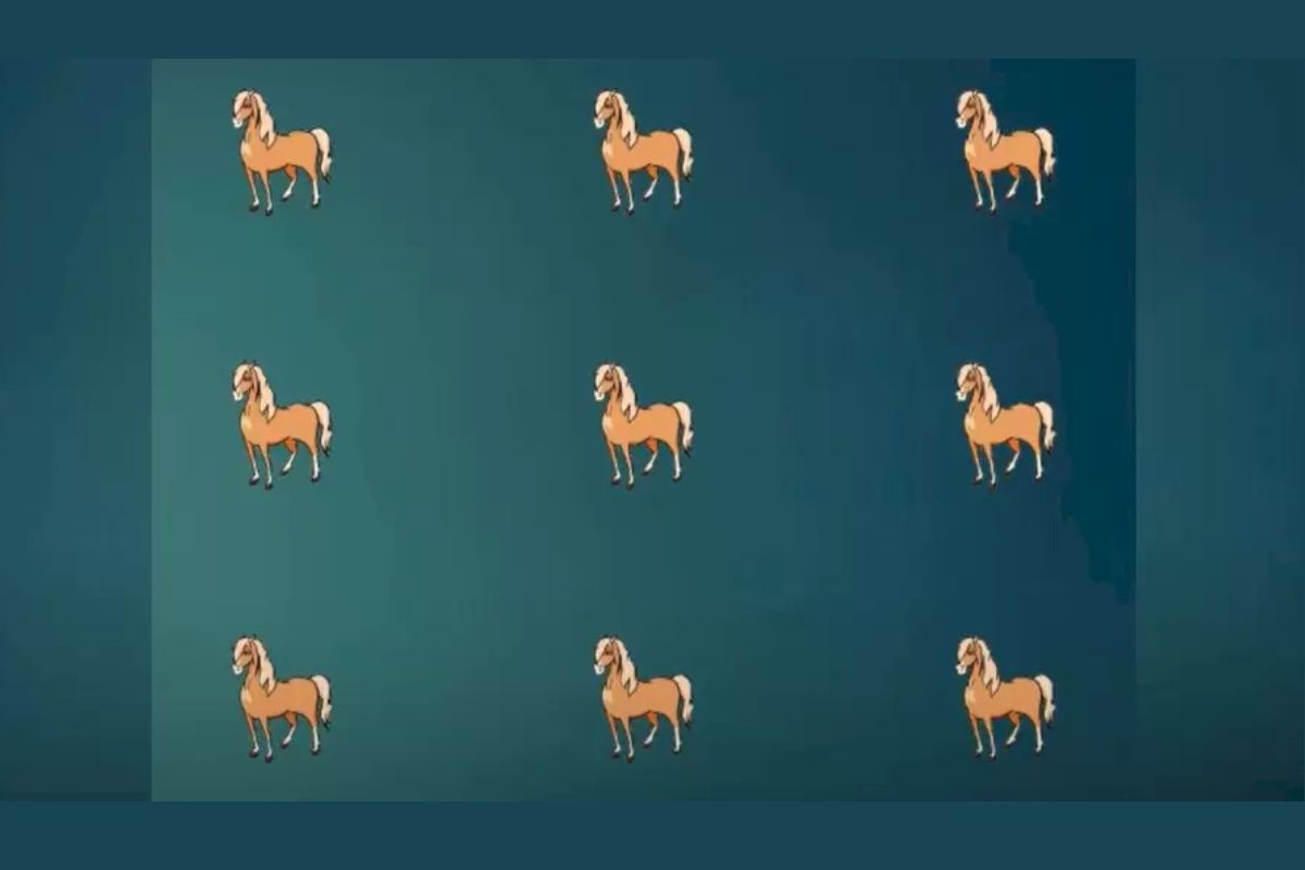 Desafio lógico: como isolar os 9 cavalos por meio de dois quadrados?