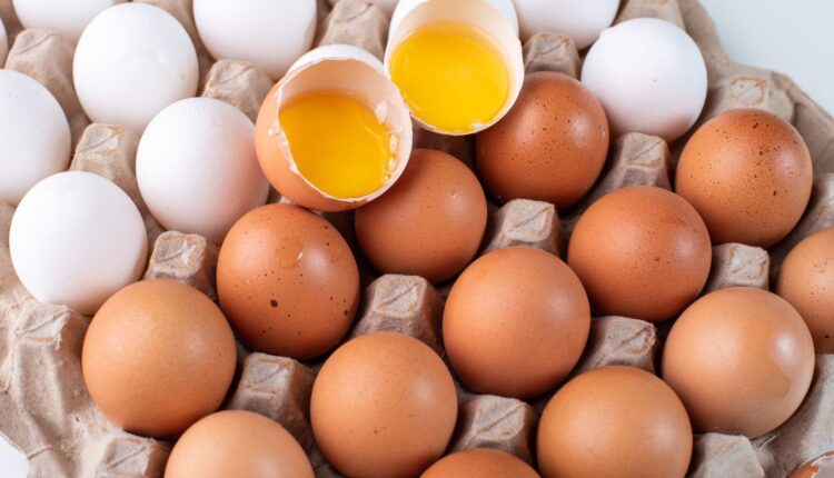 Quais os cuidados necessários com os ovos