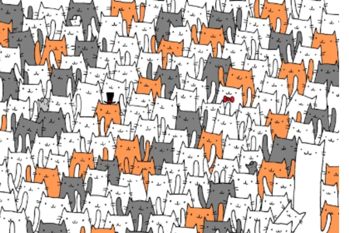 Testando sua visão: encontre o coelho entre os gatinhos