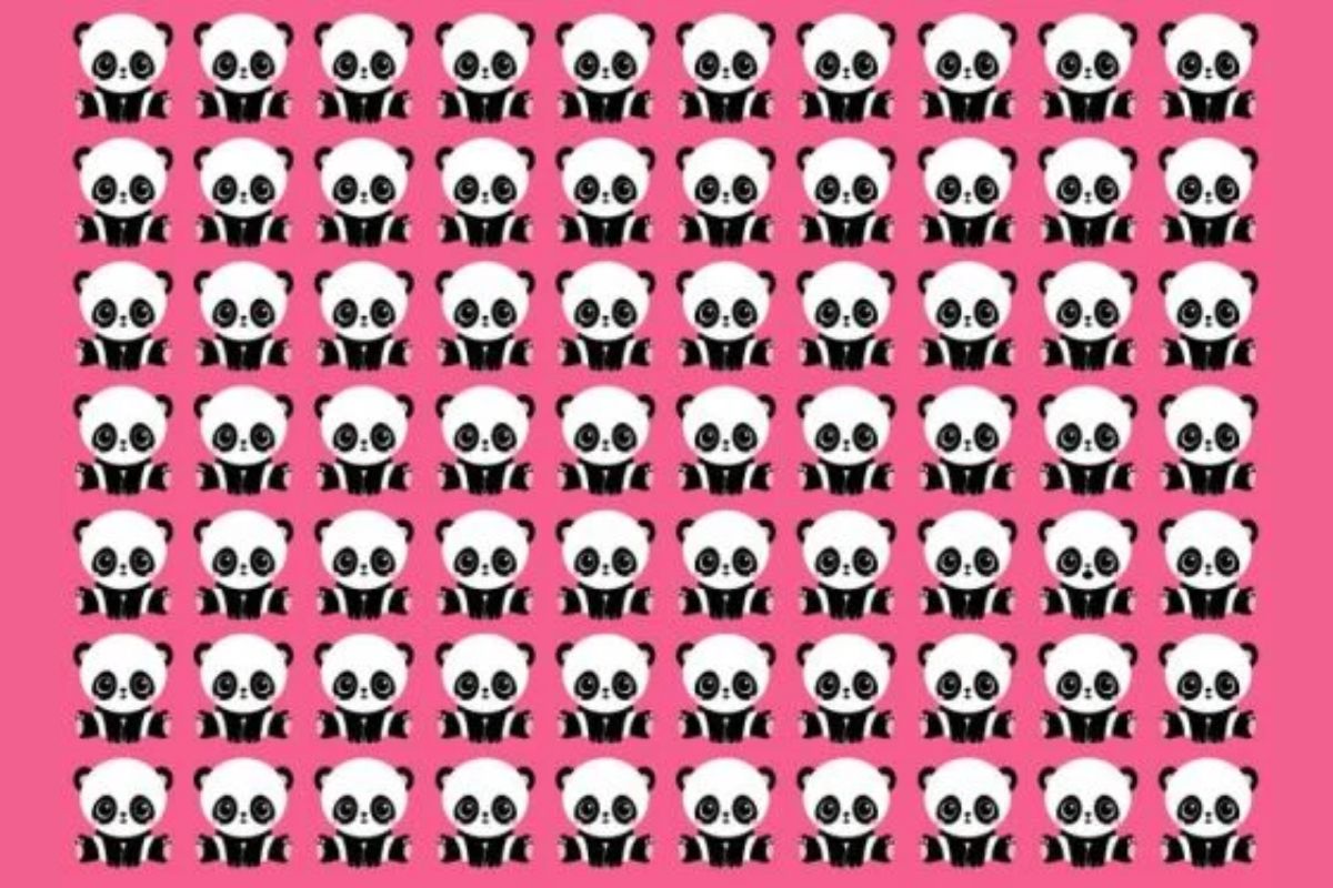 Ilusão de ótica: você consegue localizar o único panda diferente em 10 segundos?