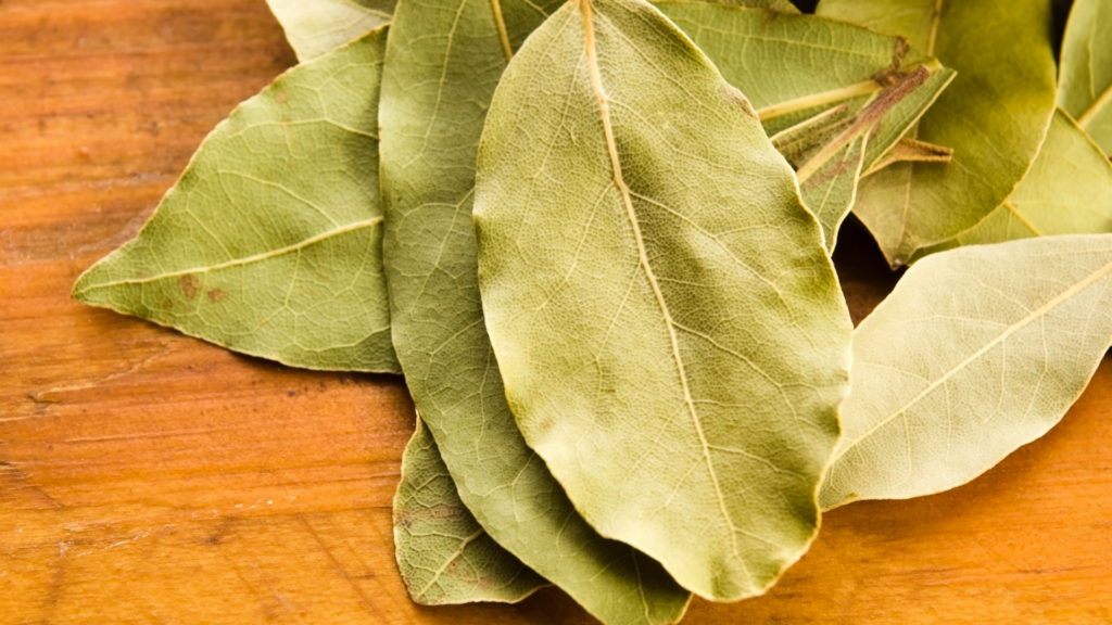 6 beneficios de las hojas de laurel para el cuerpo que no vas a creer