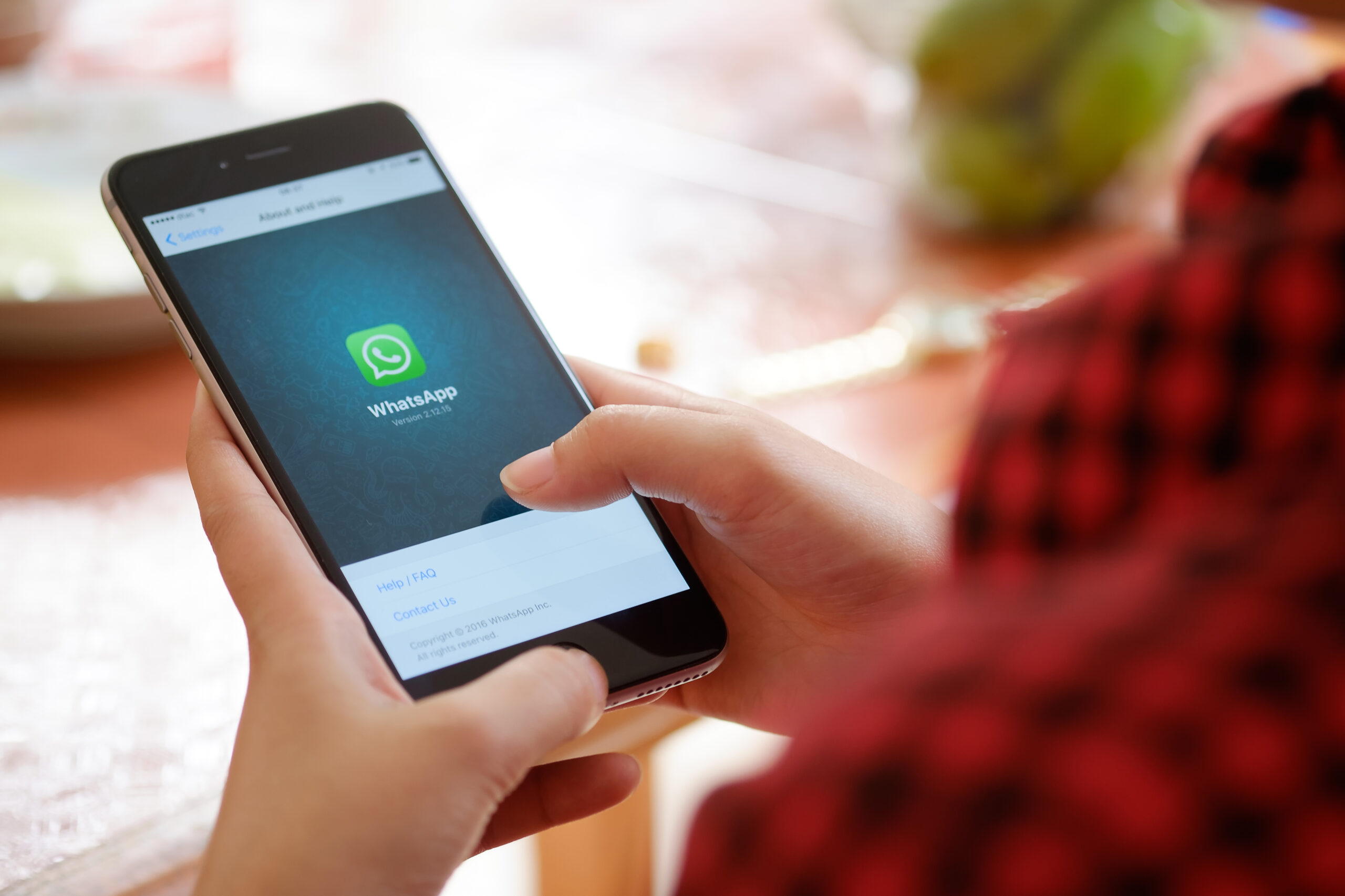 Truque do WhatsApp: descubra se o contato está online sem ser 'pego no flagra'