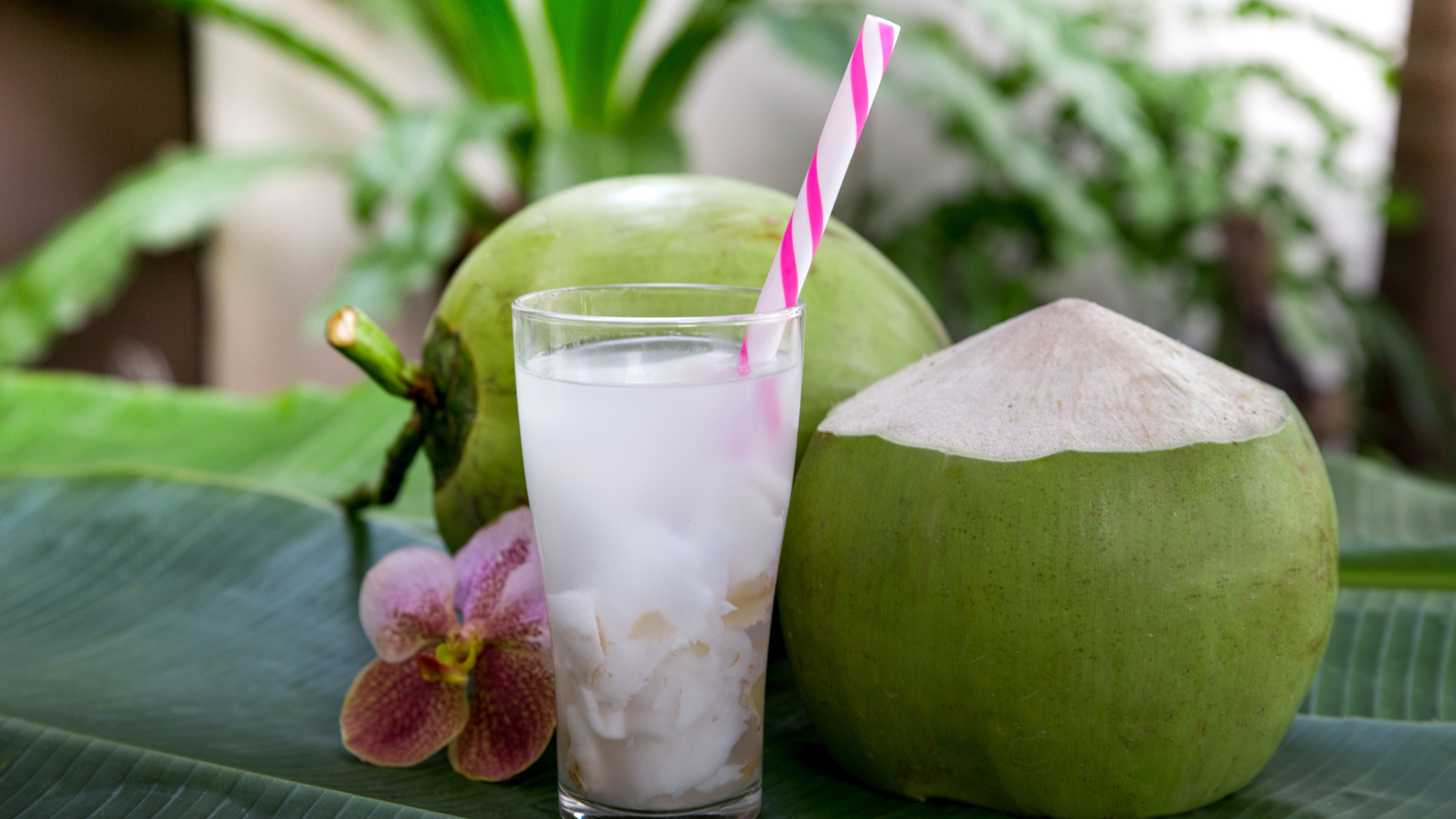Benefícios da Água de coco
