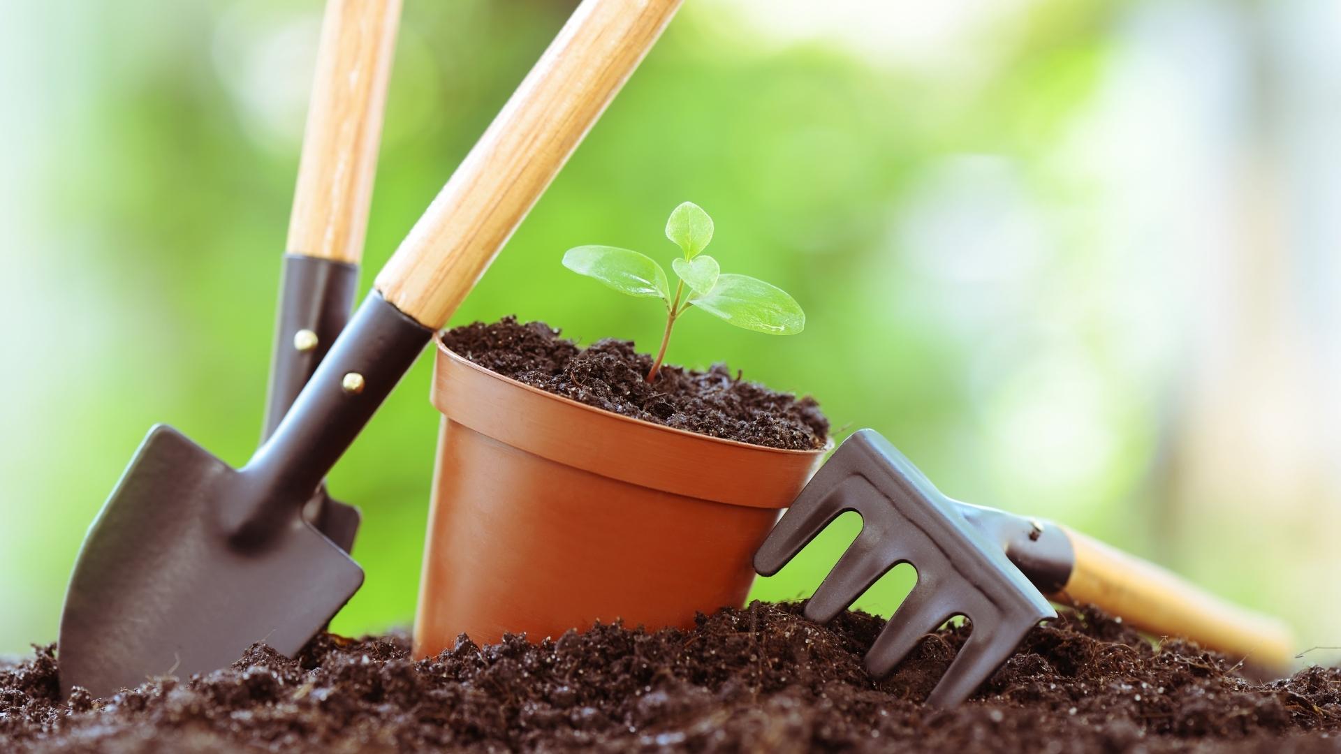 Vai começar a praticar jardinagem? ESSES são os produtos que você deverá comprar