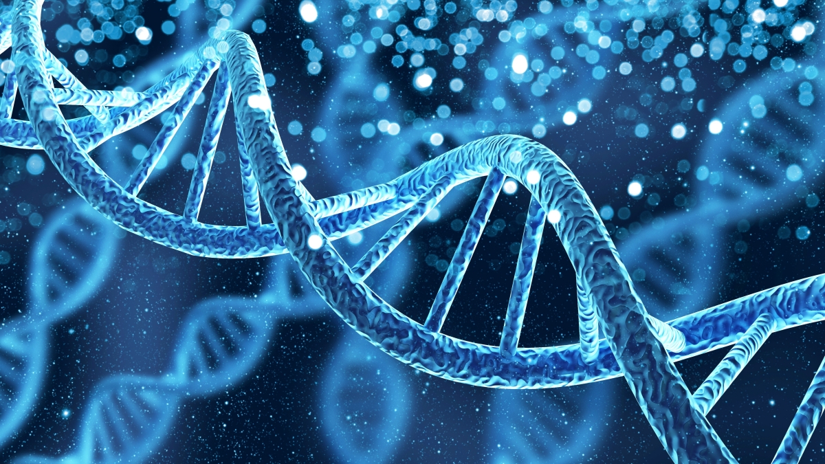 Genes e DNA em estudo de genética