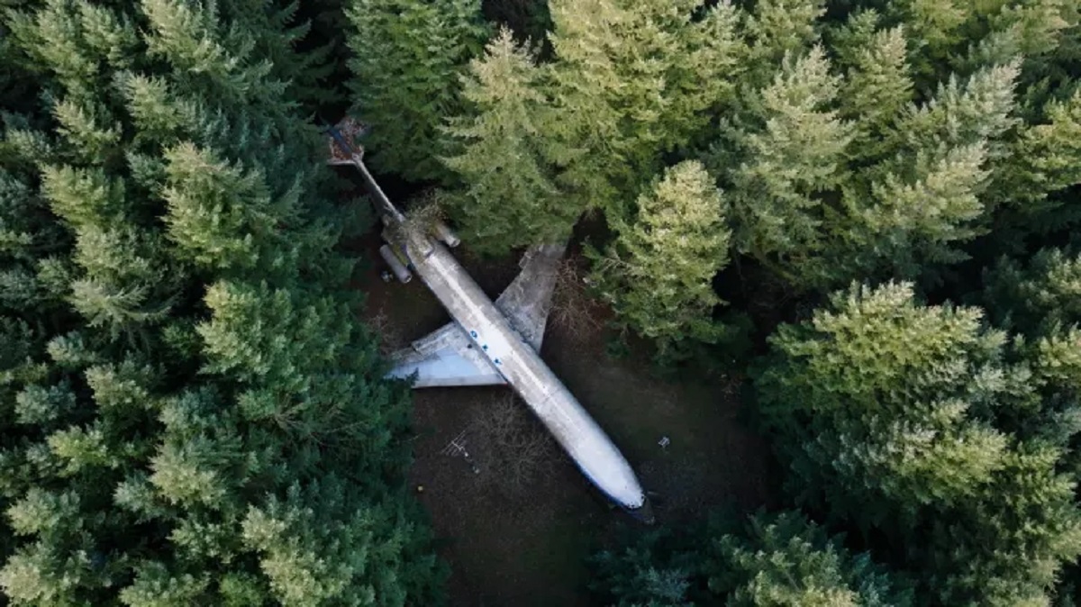 Avião velho no meio da floresta