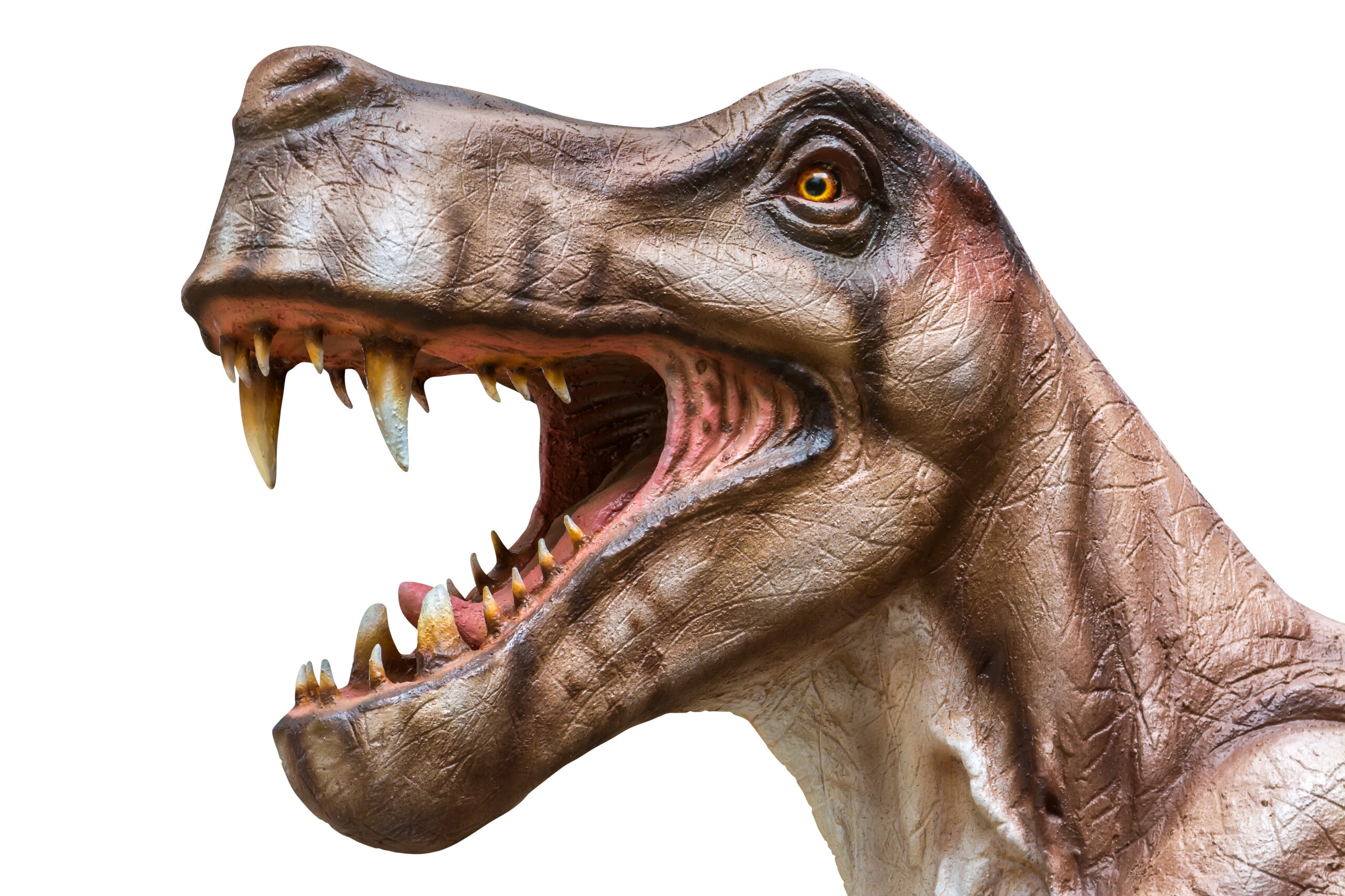 Conheça esse monstro pré-histórico que sobreviveu a uma extinção em massa