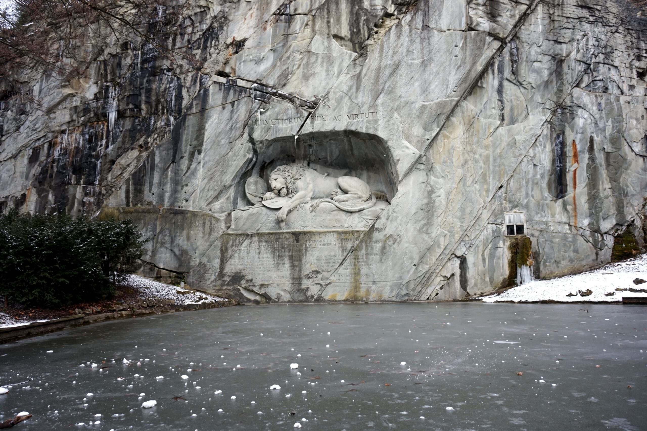 Era do Gelo? Leão-das-cavernas de 28 mil anos é encontrado congelado