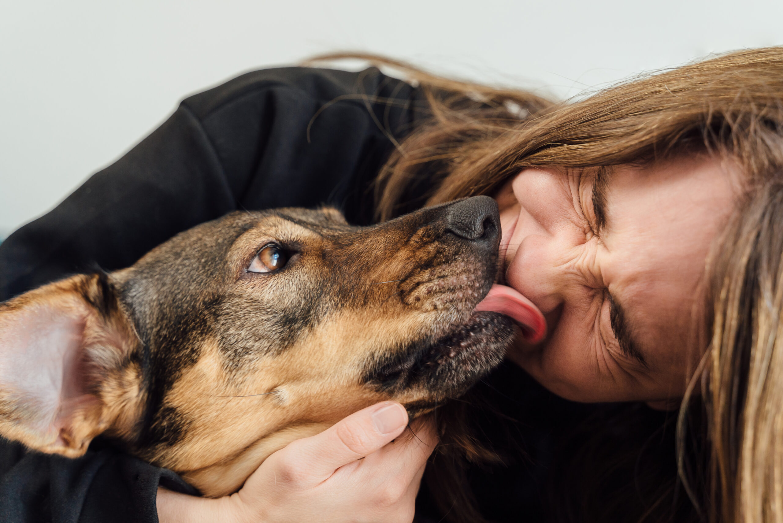 Mundo pet: 5 comportamentos estranhos dos cachorros e o que eles significam