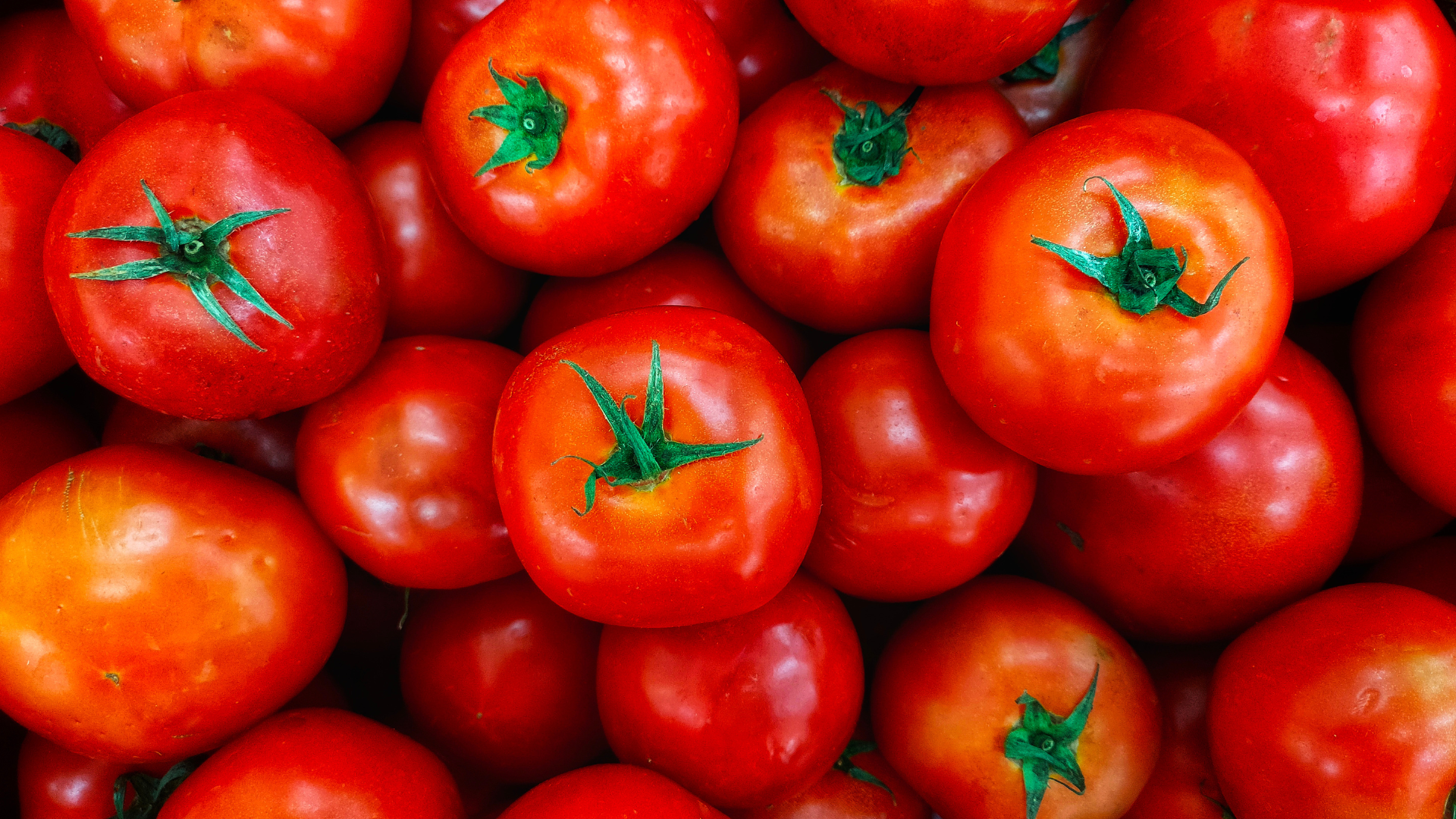 Coma de forma saudável: 4 alimentos com alta concentração de antioxidantes