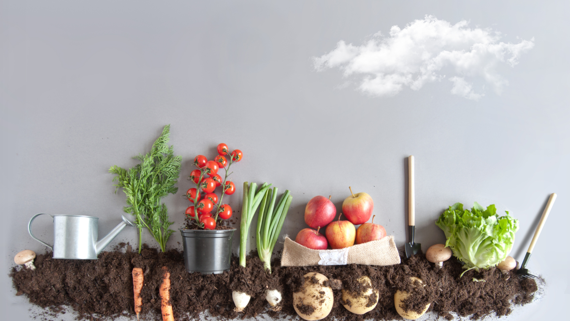 Aspirante a fazendeiro: Como dar início ao seu próprio cultivo?