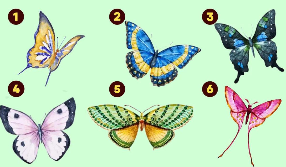 A borboleta escolhida no teste de personalidade descreve você