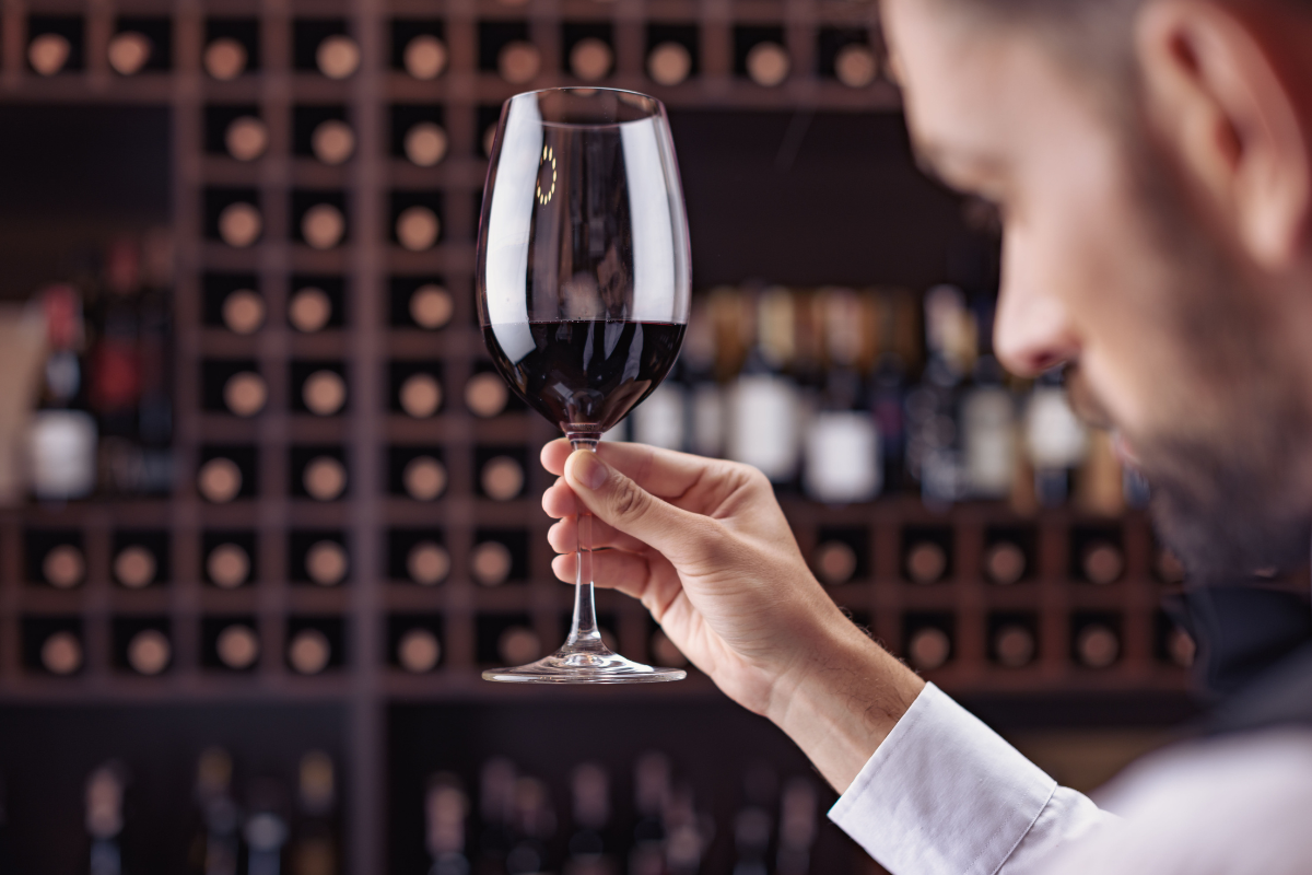 Tomar uma taça de vinho por dia NÃO faz bem à saúde, segundo a ciência