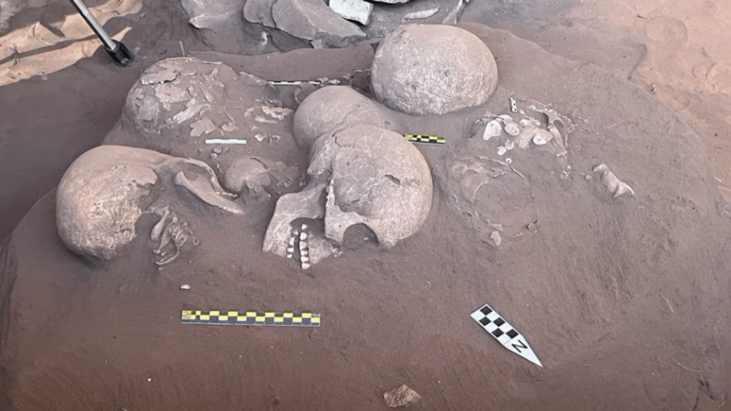 Fóssil de 12 mil anos encontrado em Goiás