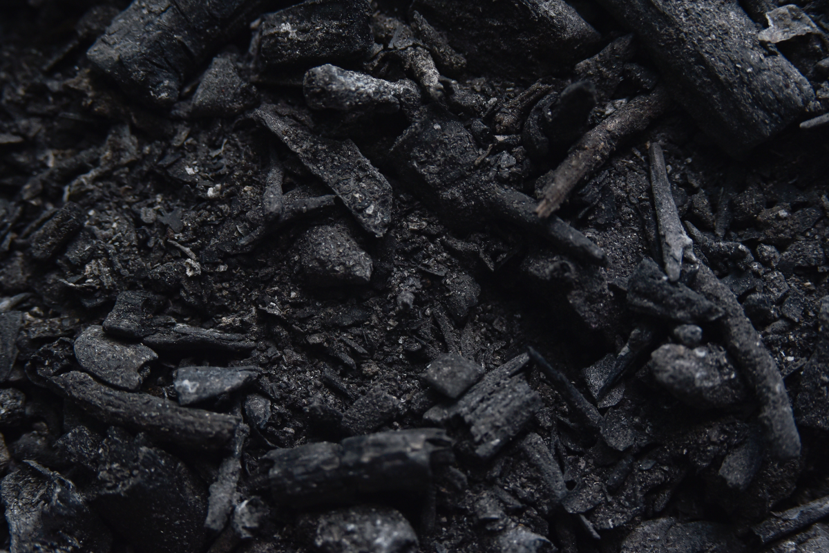 Cinzas de fogo: um excelente material para o crescimento de plantas