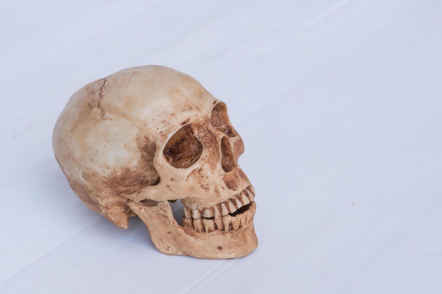Os humanos antigos tinham dentes "perfeitos" – mas porquê?