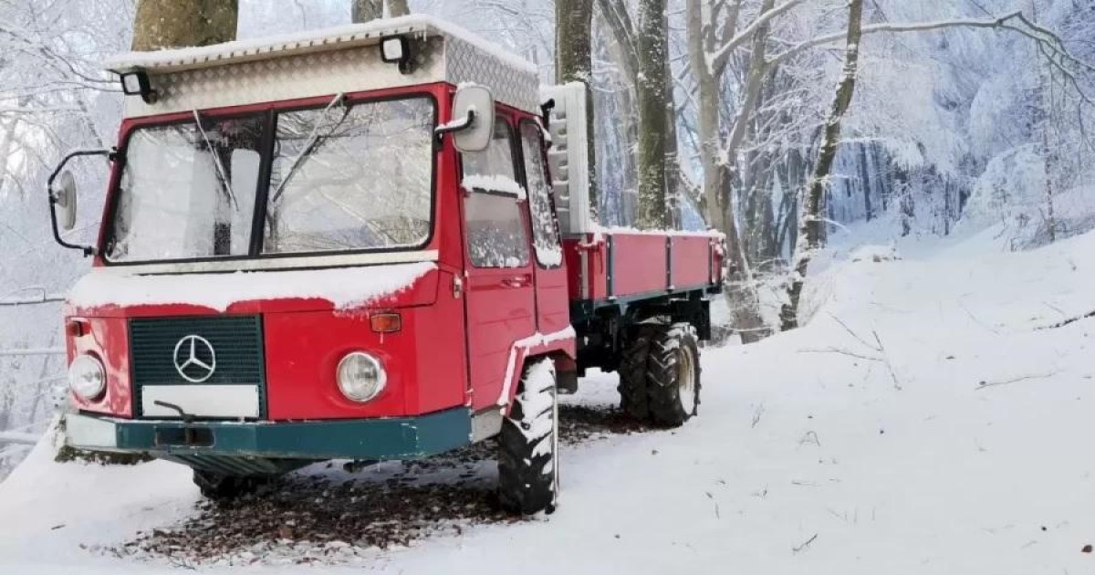 Prove que seus olhos são ágeis: ache a raposa da neve em 8 segundos!