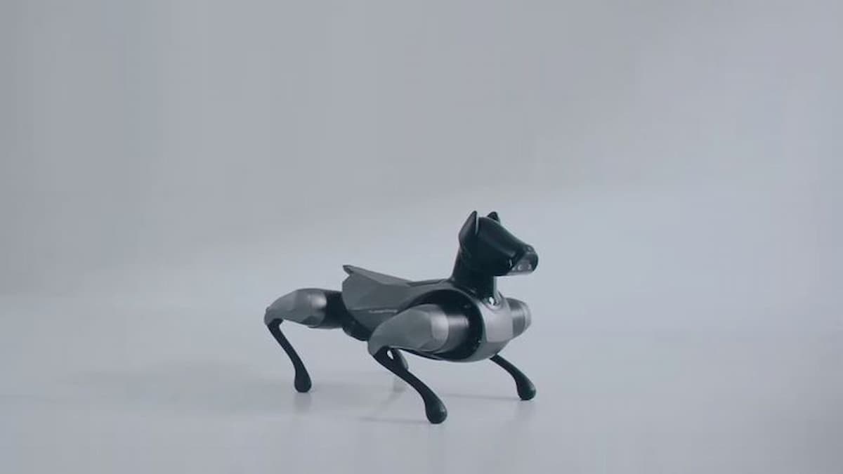 The new generation of robot dog!