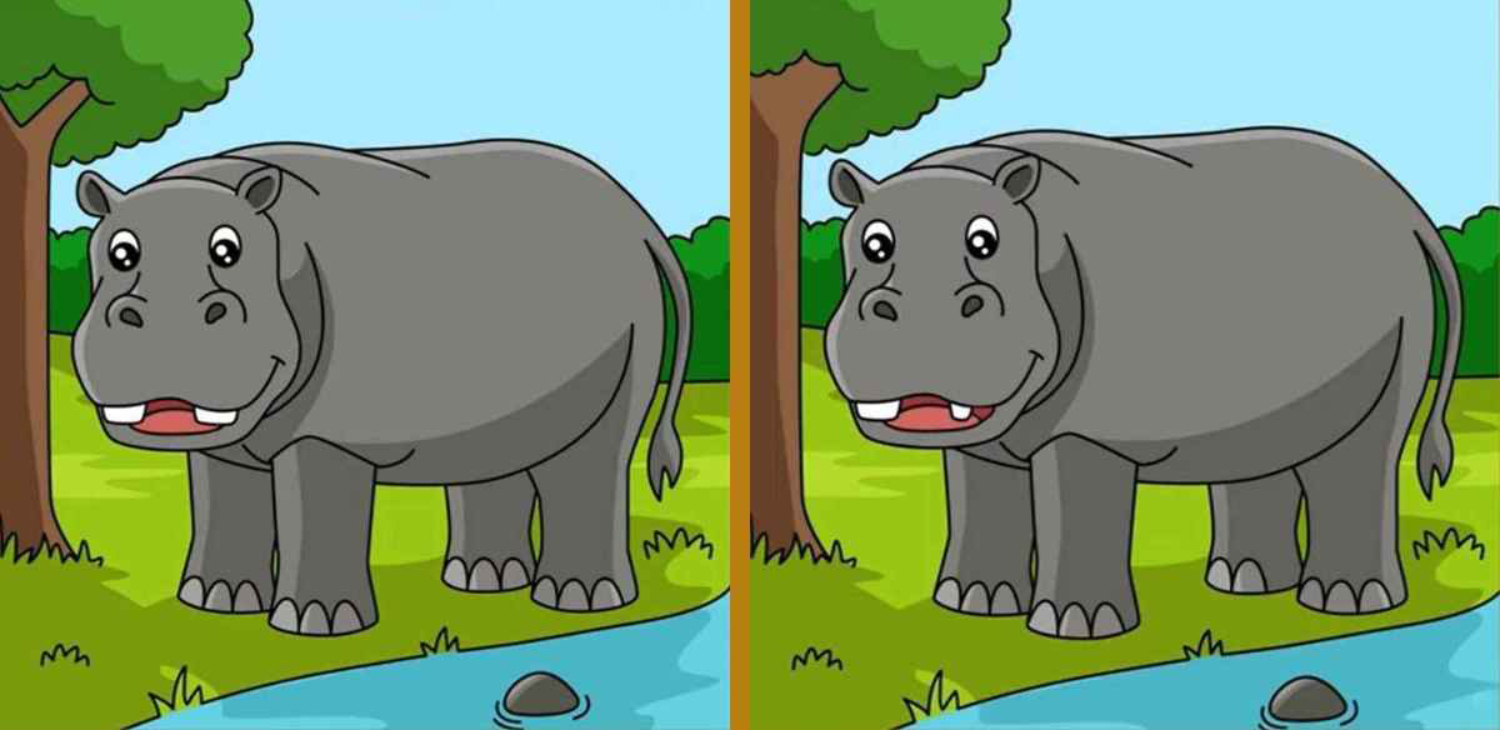 Desafio: encontre as 3 diferenças entre as 2 imagens em APENAS 9 segundos