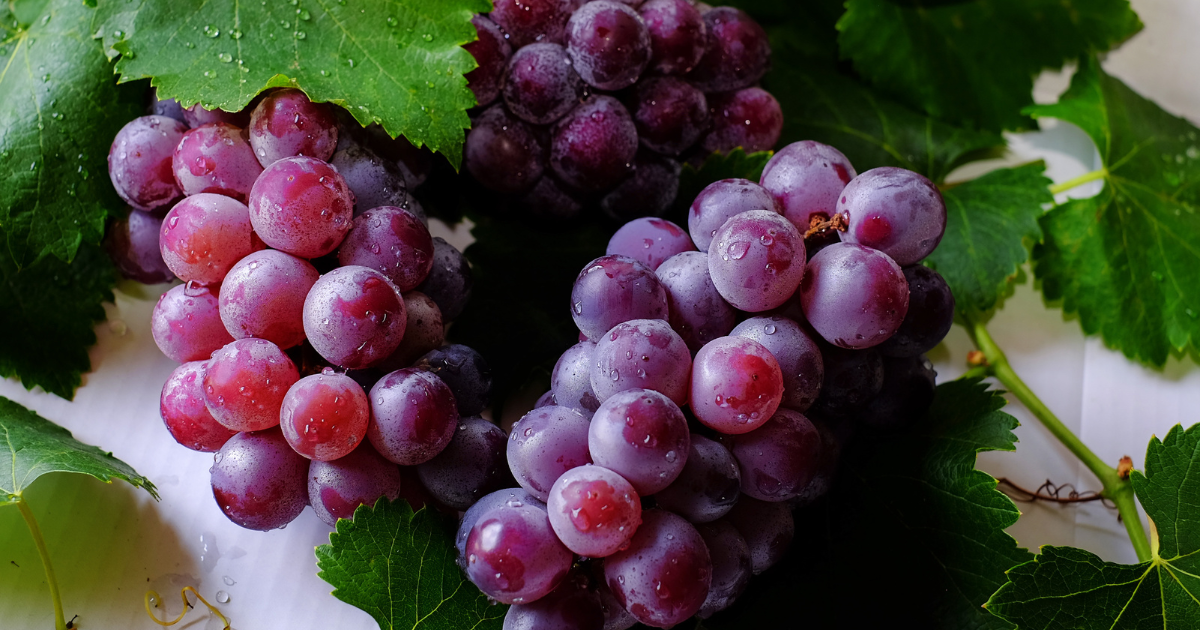simpatias uva