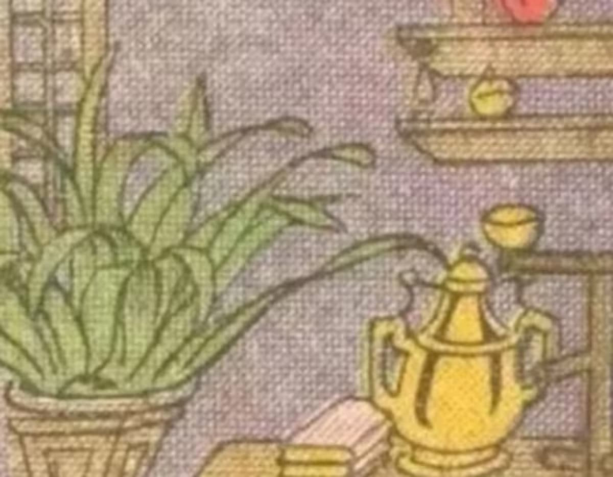 Somente quem tem QI alto vai encontrar o papagaio em 10 segundos