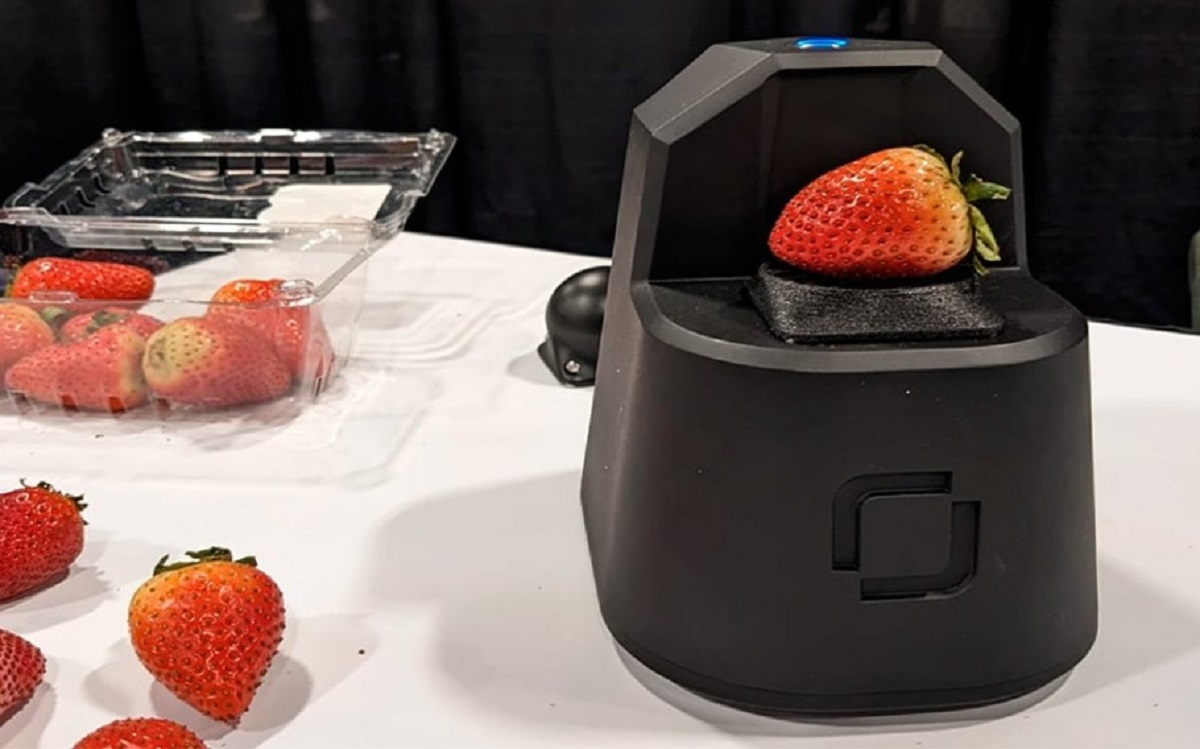 Fim do desperdício? Scanner ajuda a identificar se fruta está ‘verde’ ou podre