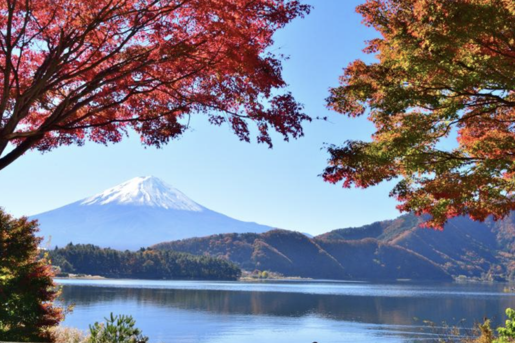 Parque Nacional Fuji-Hakone-Izu, no Japão (Imagem: magicflute002/Getty Images/iStockphoto)