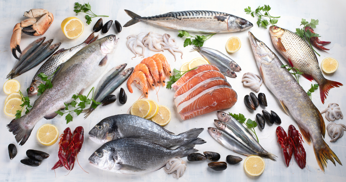 Inclua estes 5 peixes na sua dieta e melhore sua saúde!