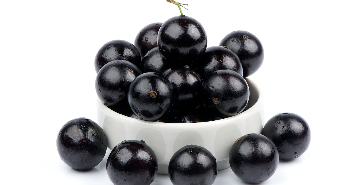 Melhor que remédios? Casca de jabuticaba mostra resultados impressionantes