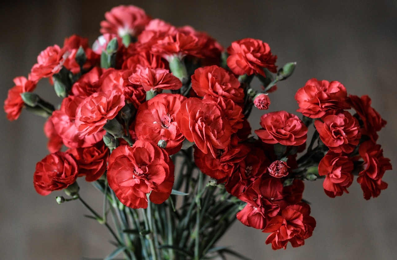 Flores da estação são ótimas para decorar a casa; veja sugestões