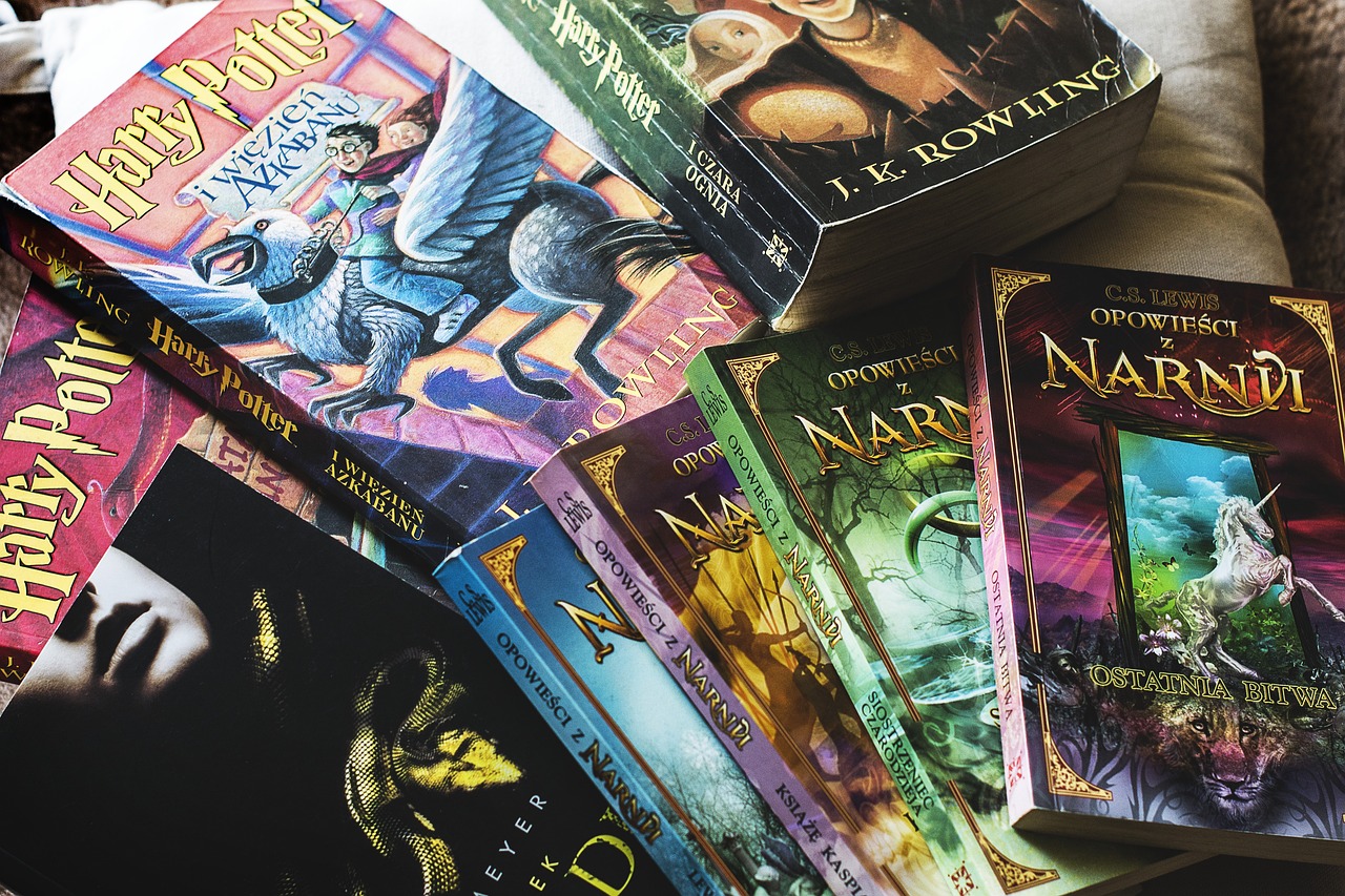 'Harry Potter e a Pedra Filosofal' vai a leilão por valor SURREAL!