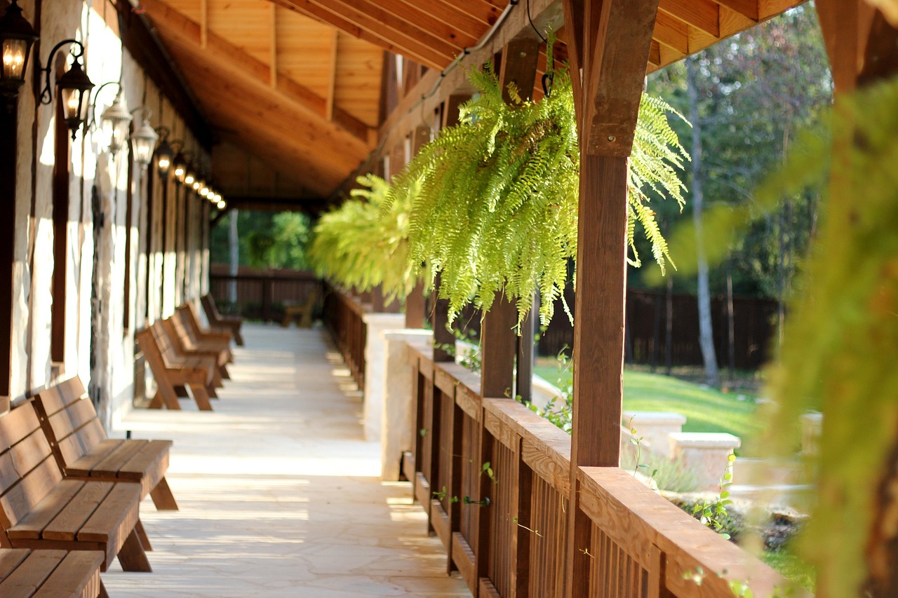Ter essas 2 plantas em casa é como ganhar na loteria: sorte grande!