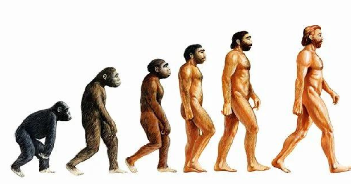 Esta imagem está ERRADA, de acordo com a teoria de Charles Darwin
