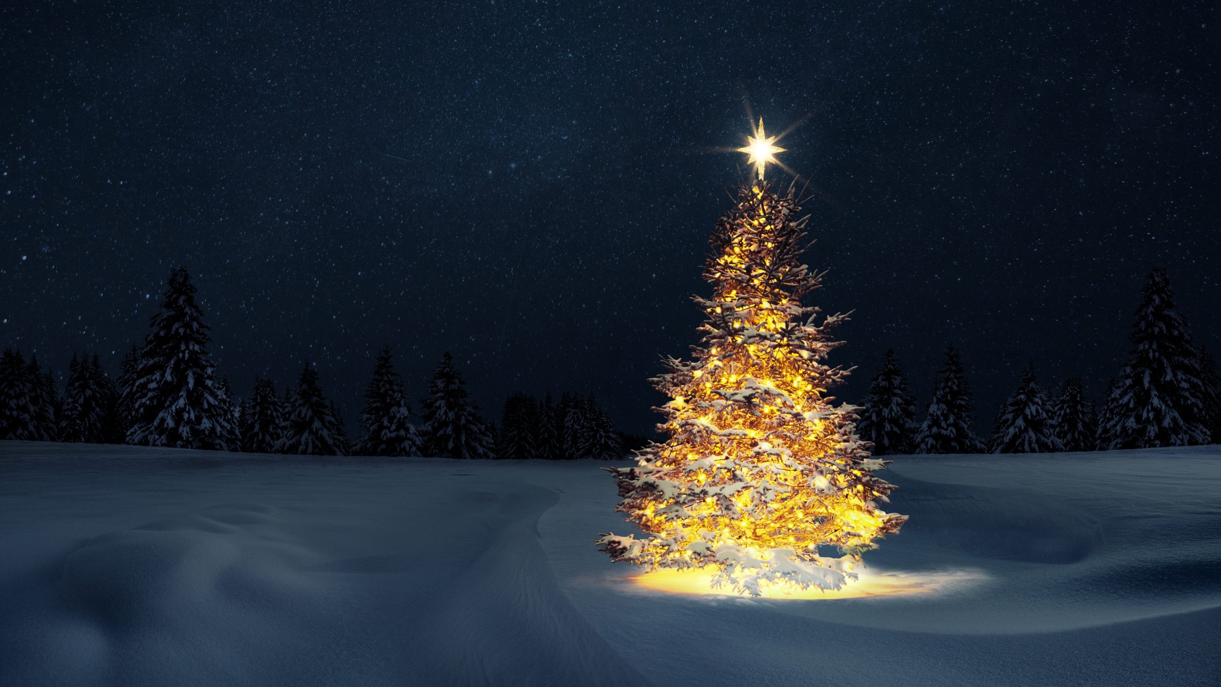 Não é apenas enfeite! O que significa a estrela no topo da árvore de Natal?