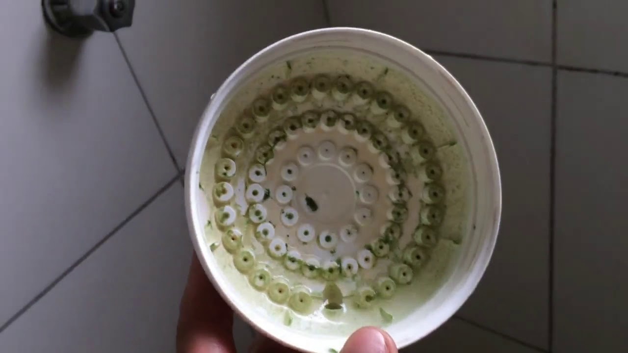 Cachoeira no banho! 4 itens que você tem em casa vão desentupir seu chuveiro
