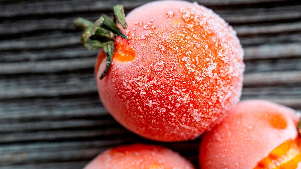 Inimigos do freezer! 10 alimentos que você NUNCA deve congelar – eles odeiam o frio