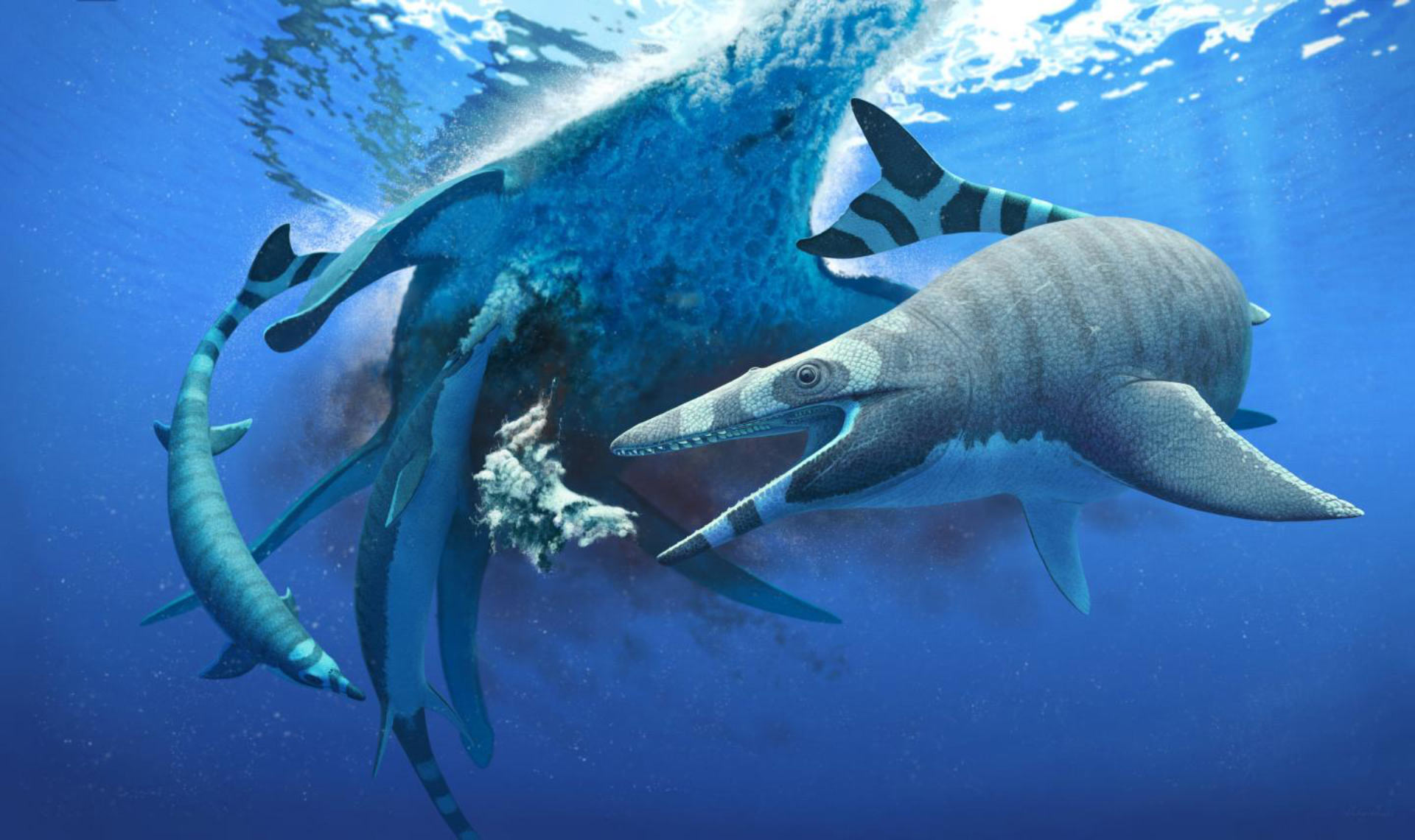 Fóssil falsificado? Revista levanta suspeitas sobre monstro pré-histórico