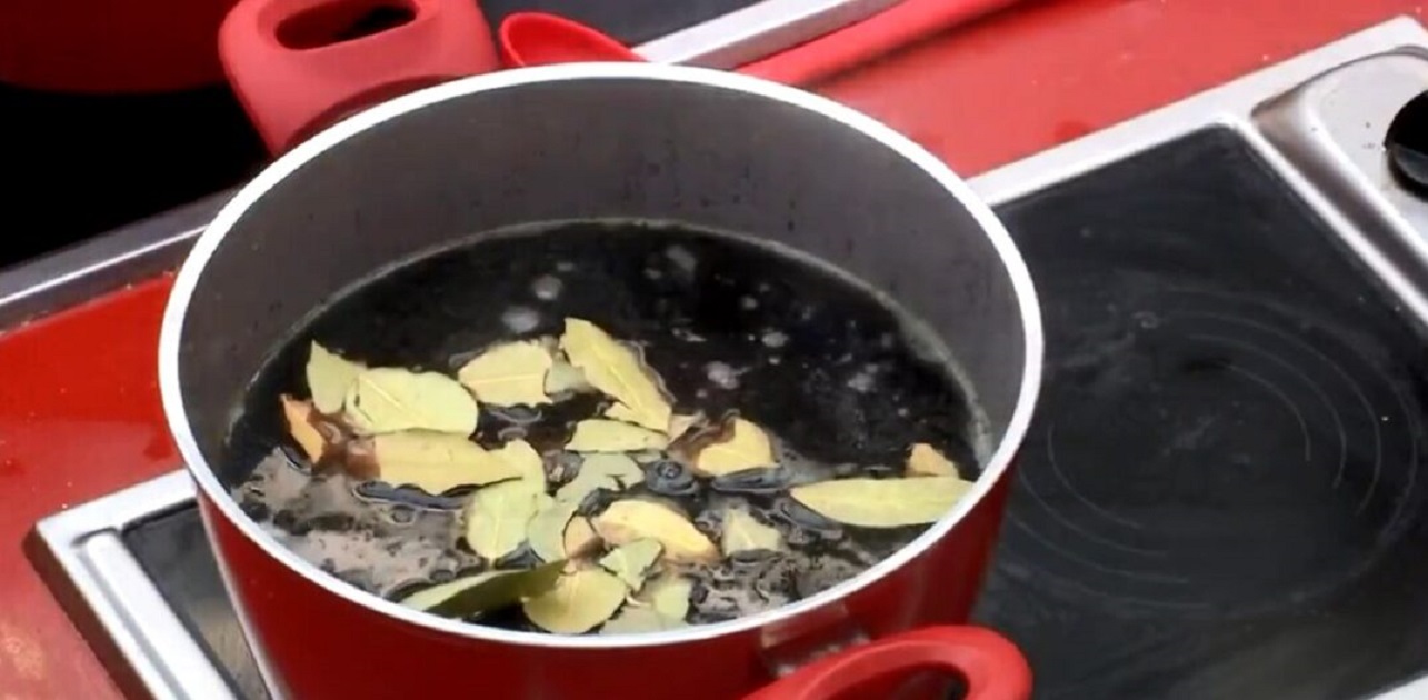 Fim dos gases! O segredo para comer feijão sem ficar com inchaço está NESSAS folhinhas