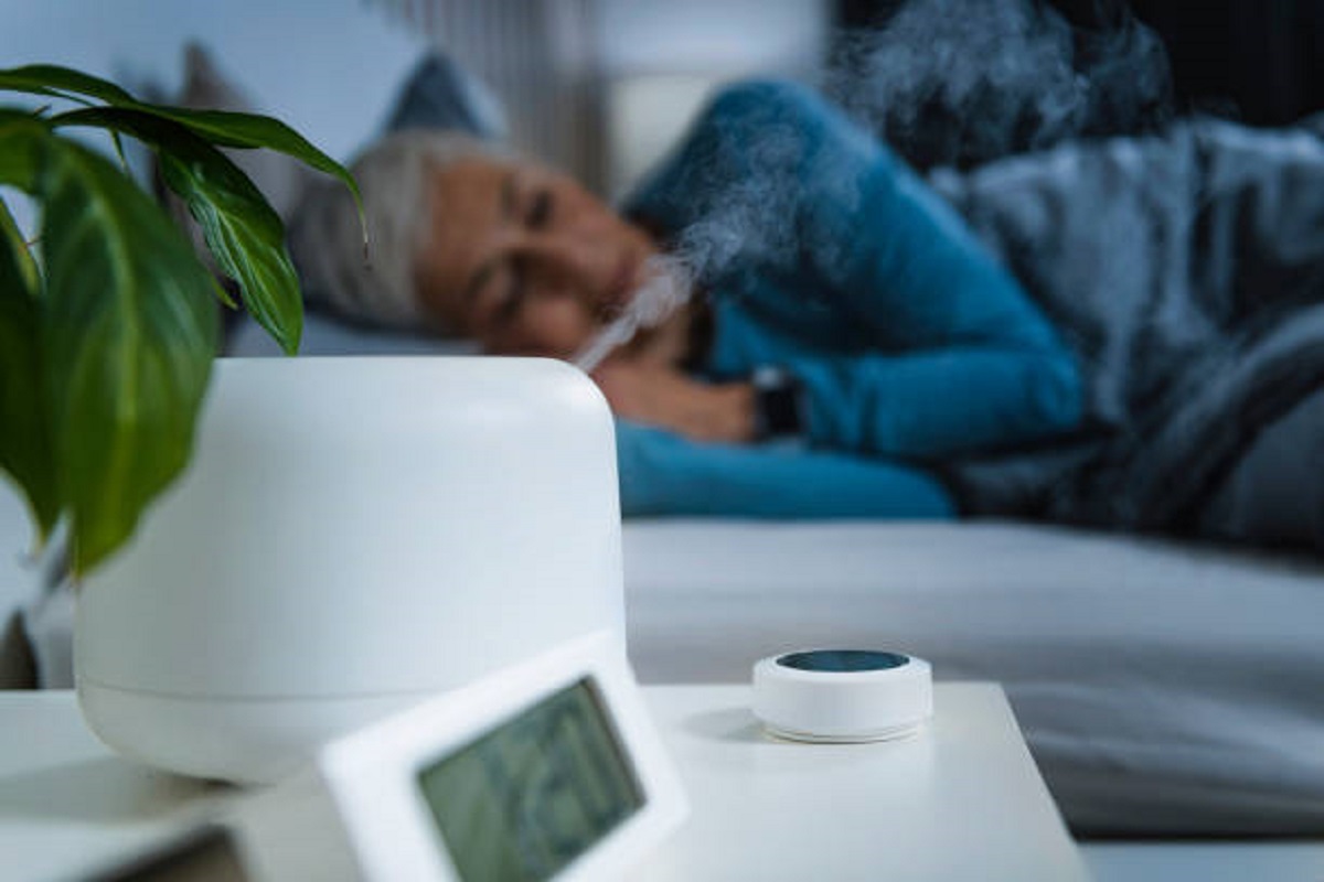 Quer acabar com a insônia? 7 plantas calmantes vão te fazer dormir como um bebê