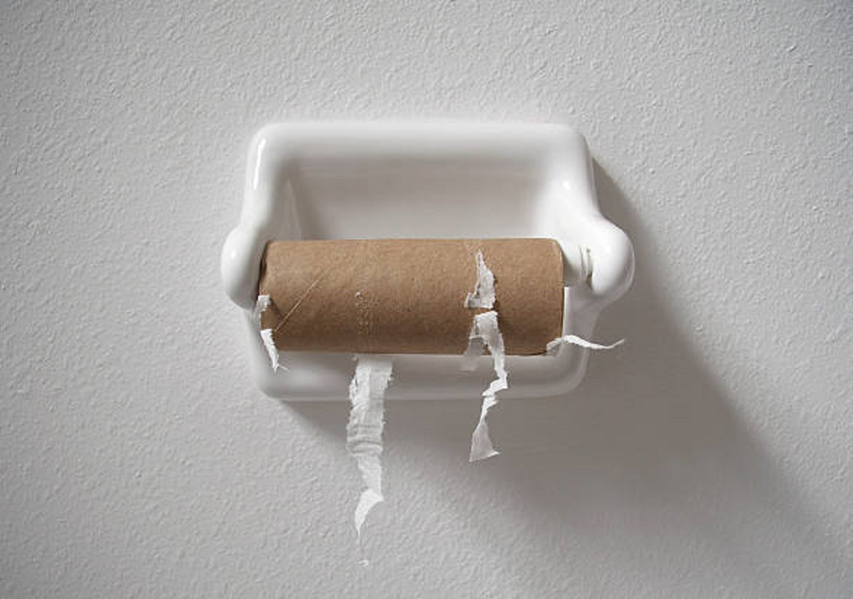 Rolo de papel higiênico: um tesouro que você joga no lixo, mas que poderia salvar seu jardim