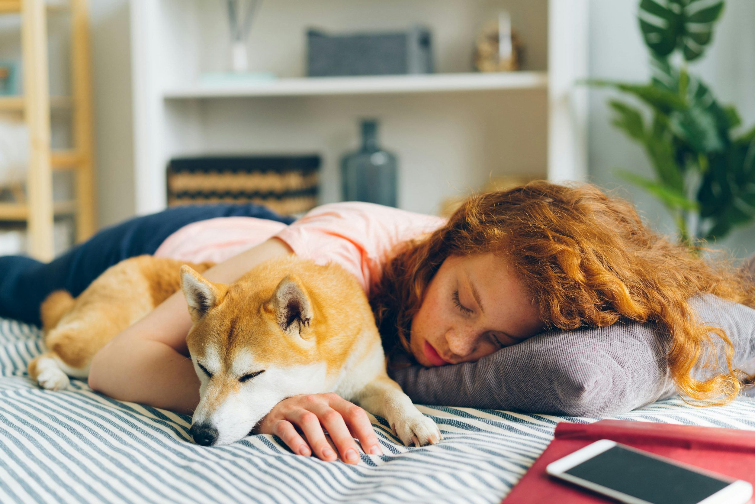 Faz mal dormir com o pet na cama? Veterinário responde