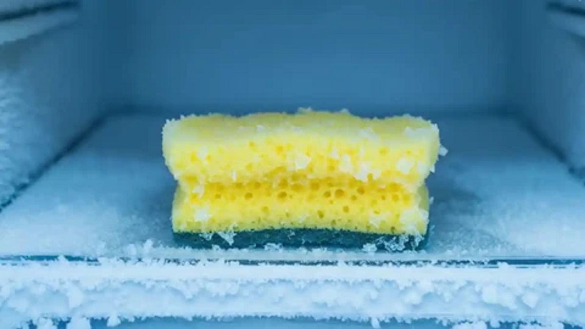 Por que as esponjas de cozinha estão indo para o congelador?
