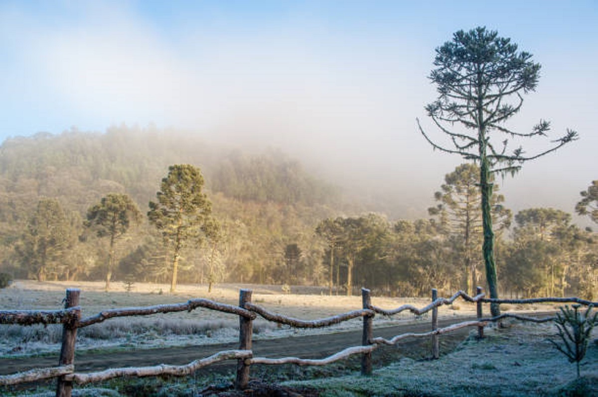 Neve no Brasil? Conheça 5 destinos nacionais onde o frio vira espetáculo